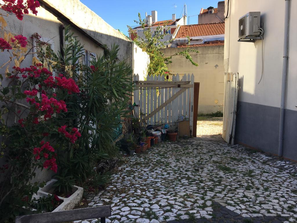 The Back Yard Nest Apartment Lisboa Ngoại thất bức ảnh